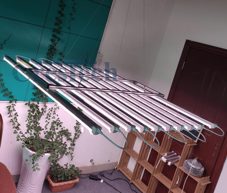 Led shop lights, led shop light, led shoplight, shop led lights, shop lights led, commercial led lights, shop light led, led strip shop lights, led shop lighting, shop led lighting, grow lighting, grow lights, cloning, plant light, plant lighting