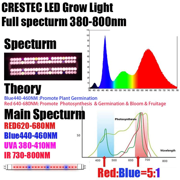 led grow lights, led grow lights for sale, grow lights, grow lights led, led grow light, grow led, grow light, led growing lights, growers lights, grow light led, led light grow light, grow light kits, growing light, growing plants indoors with artificial light, led indoor grow light, led indoor grow lights, grow light for sale, usa made led grow lights, Led shop lights, professional grow lights